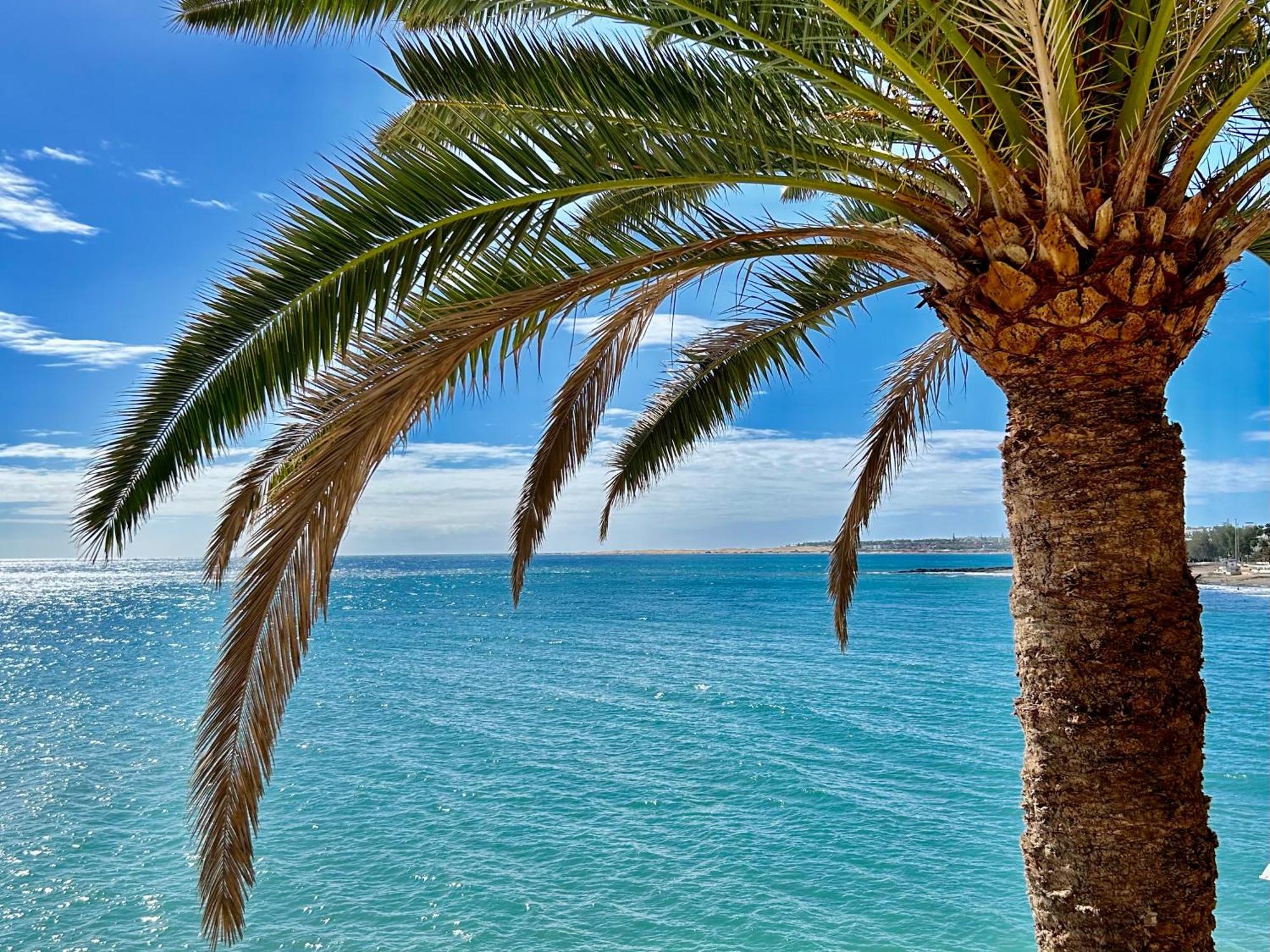 Sobre El Mar Con Vistas A Las Dunas De Maspalomas San Agustín Extérieur photo